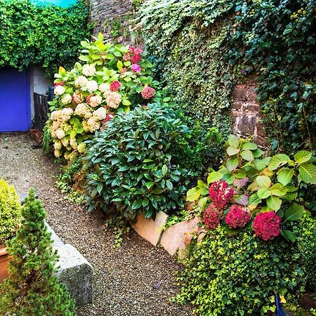 Byrnes Wine Dine Stay Ennistimon Bagian luar foto