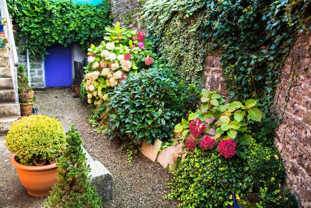 Byrnes Wine Dine Stay Ennistimon Bagian luar foto